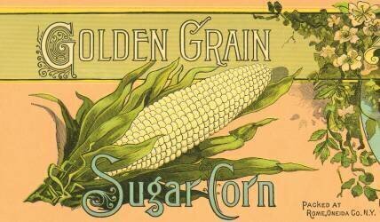 Golden Grain Sugar Corn Product Label (anonyme) - Muzeo.com