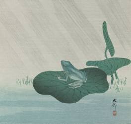 Grenouille sous la pluie (Ohara Koson) - Muzeo.com