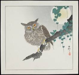 Hibou (Ohara Koson) - Muzeo.com