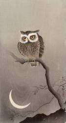Hibou petit-duc sur une branche avec un croissant de lune (Ohara Koson) - Muzeo.com