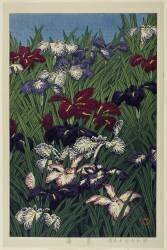 Iris, Juillet 1929 (Hasui Kawase) - Muzeo.com