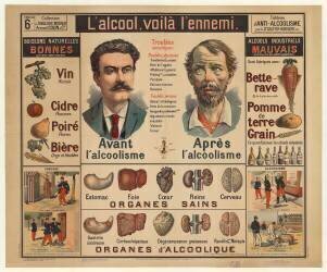 L'Alcool , voilà l'ennemi ... Tableau d'anti-alcoolisme par le Dr Galtier-Boissière (anonyme) - Muzeo.com