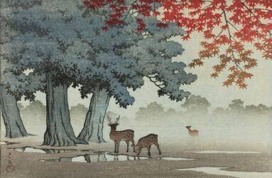 Le parc de Nara (Hasui Kawase) - Muzeo.com