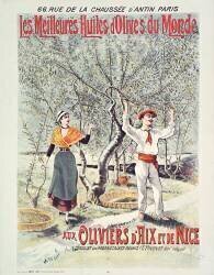 Les Meilleures huiles d'olives du monde. (anonyme) - Muzeo.com