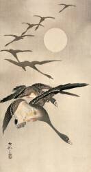 Oies volantes et pleine lune (Ohara Koson) - Muzeo.com