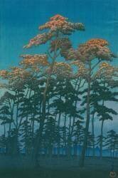 Parc Hikawa à Omiya (Hasui Kawase) - Muzeo.com