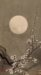 Prune à fleurs et lune (Ohara Koson) - Muzeo.com