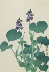 Rose trémière (Ohara Koson) - Muzeo.com