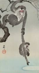 Singe et bébé cherchant à atteindre le reflet de la lune (Ohara Koson) - Muzeo.com