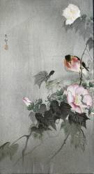 Tarier des prés et fleur en fleurs (Ohara Koson) - Muzeo.com