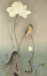 Un martin-pêcheur et un lotus (Ohara Koson) - Muzeo.com