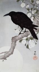Un oiseau noir sur un rameau au clair de lune (Ohara Koson) - Muzeo.com