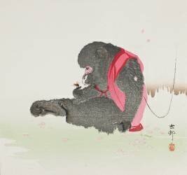 Un singe qui attrape une abeille (Ohara Koson) - Muzeo.com