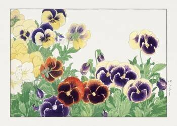 Vieille fleur de pensée (Tanigami Kônan) - Muzeo.com