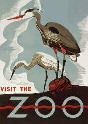 Visit the zoo (anonyme) - Muzeo.com