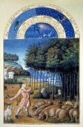 Les Riches Heures du Duc de Berry, Novembre (Frères Limbourg) - Muzeo.com