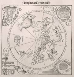 Carte du Ciel du Sud, avec des représentations de constellations (Albrecht Dürer) - Muzeo.com