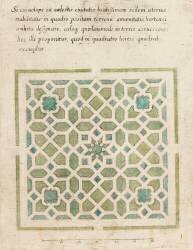 Modèle de parterre de jardin avec étoile (anonyme) - Muzeo.com