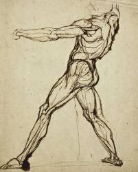 A Nude Throwing (Johann Heinrich Füssli) - Muzeo.com