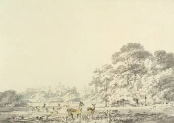 Château et parc de Windsor avec des cerfs (Joseph Mallord William Turner) - Muzeo.com