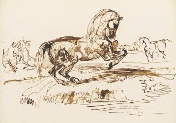Cheval cabré dans un paysage et autres études de chevaux (Eugène Delacroix) - Muzeo.com