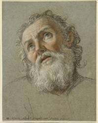 Etude d'une tête de saint en extase (Noël-Nicolas Coypel) - Muzeo.com