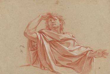 Homme drapé, à mi-corps (Charles Le Brun) - Muzeo.com
