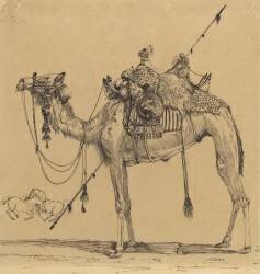 Le chameau (Rodolphe Bresdin) - Muzeo.com