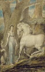 Le cheval (William Blake) - Muzeo.com