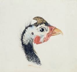 Pintade (Joseph Mallord William Turner) - Muzeo.com