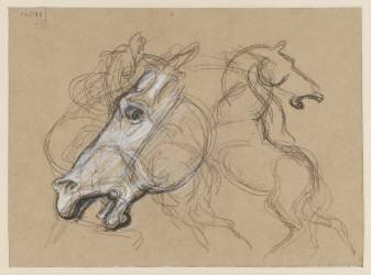 Tête de cheval et croquis de chevaux au galop (Eugène Delacroix) - Muzeo.com