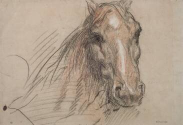 Tête de cheval, vue presque de face (Théodore Chasseriau) - Muzeo.com