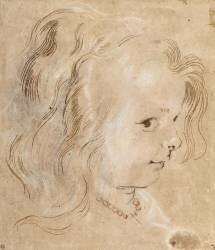 Tête d'enfant, vue de profil (Pierre Paul Rubens) - Muzeo.com