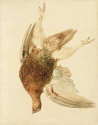 Tétras, tiré de The Farnely Book of Birds (Livre des oiseaux) (Joseph Mallord William Turner) - Muzeo.com