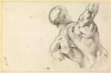 Torse d'écorché de dos, bras levé (Eugène Delacroix) - Muzeo.com