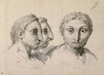 Trois têtes d'hommes en relation avec le chat-huant (Charles Le Brun) - Muzeo.com