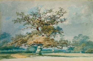 Un paysage avec un vieux chêne (Joseph Mallord William Turner) - Muzeo.com