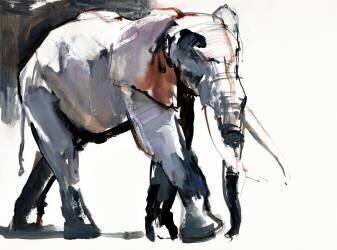 African Elephant (Mark Adlington) - Muzeo.com