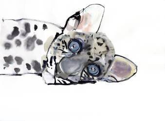 Arabian Leopard (Mark Adlington) - Muzeo.com