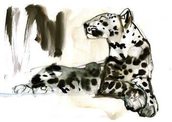 Arabian Leopard (Mark Adlington) - Muzeo.com