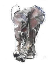 Baby Elephant Study (Mark Adlington) - Muzeo.com