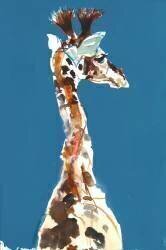 Baby Masai Giraffe (Mark Adlington) - Muzeo.com