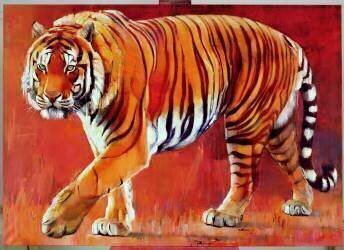 Bengal Tiger (Mark Adlington) - Muzeo.com