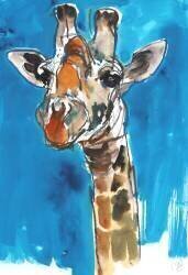 Blue Sky Giraffe (Mark Adlington) - Muzeo.com