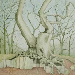 Chêne de Swithland (Ann Brain) - Muzeo.com