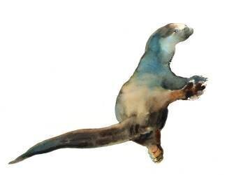 Cotman Otter (Mark Adlington) - Muzeo.com