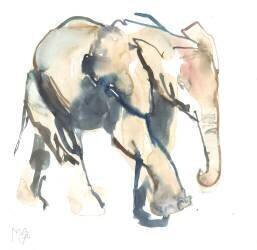 Elephant calf (Mark Adlington) - Muzeo.com