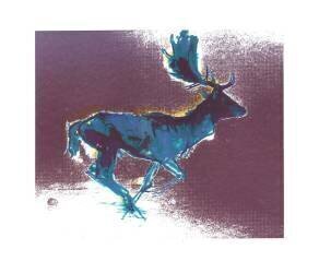 Fallow Buck (Mark Adlington) - Muzeo.com