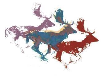 Fallow Bucks (Mark Adlington) - Muzeo.com