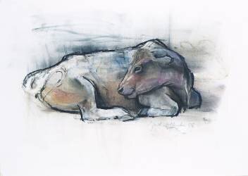 Galloway (Mark Adlington) - Muzeo.com
